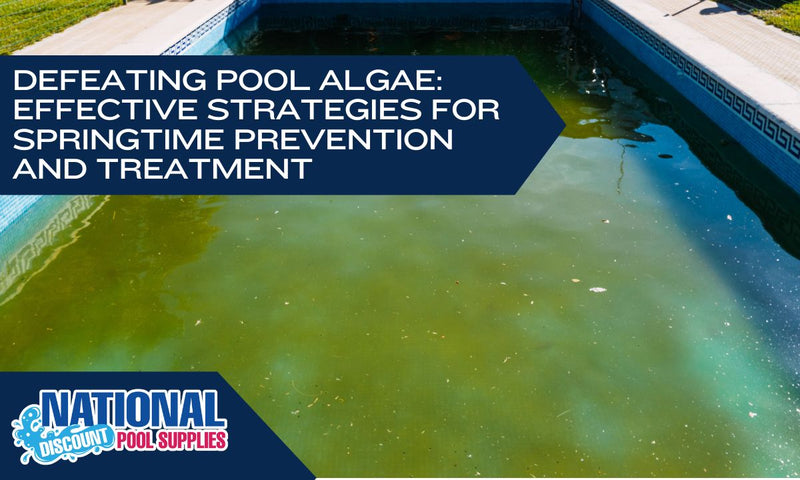 The Best Pool Algae Prevention Strategies and Treatments for Springtime Pool Opening