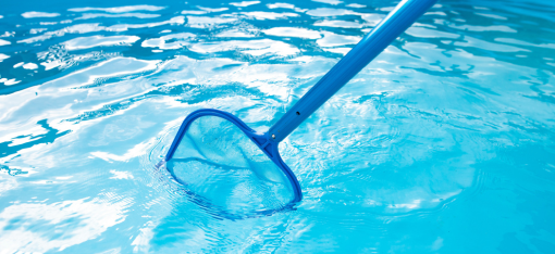 Cleaning and Maintenance