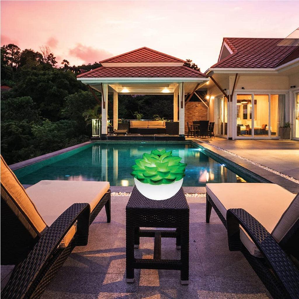 PatioGLO Succulent Solar Powered Light by GAME
