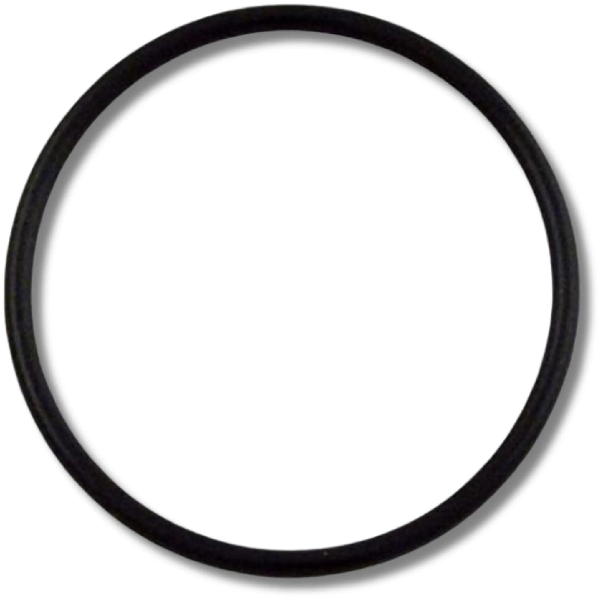 Waterway Plastics 805-0229 2" Heater O'Ring