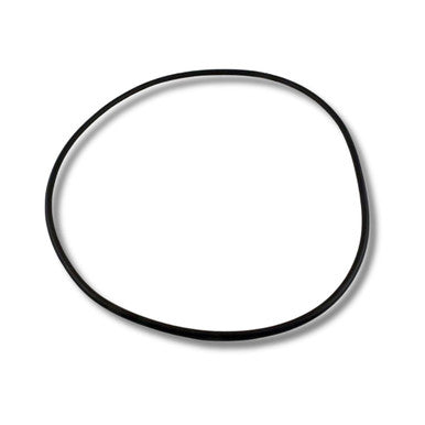 Waterway Plastics 805-0460 Lid O-Ring: For ClearWater II Cartridge & D.E. Filter