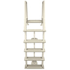 Confer Plastics 6000X Heavy Duty Inpool Ladder