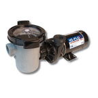Waterway Plastics Hi-Flo II 2 HP 2-Speed Above Ground Pool Pump