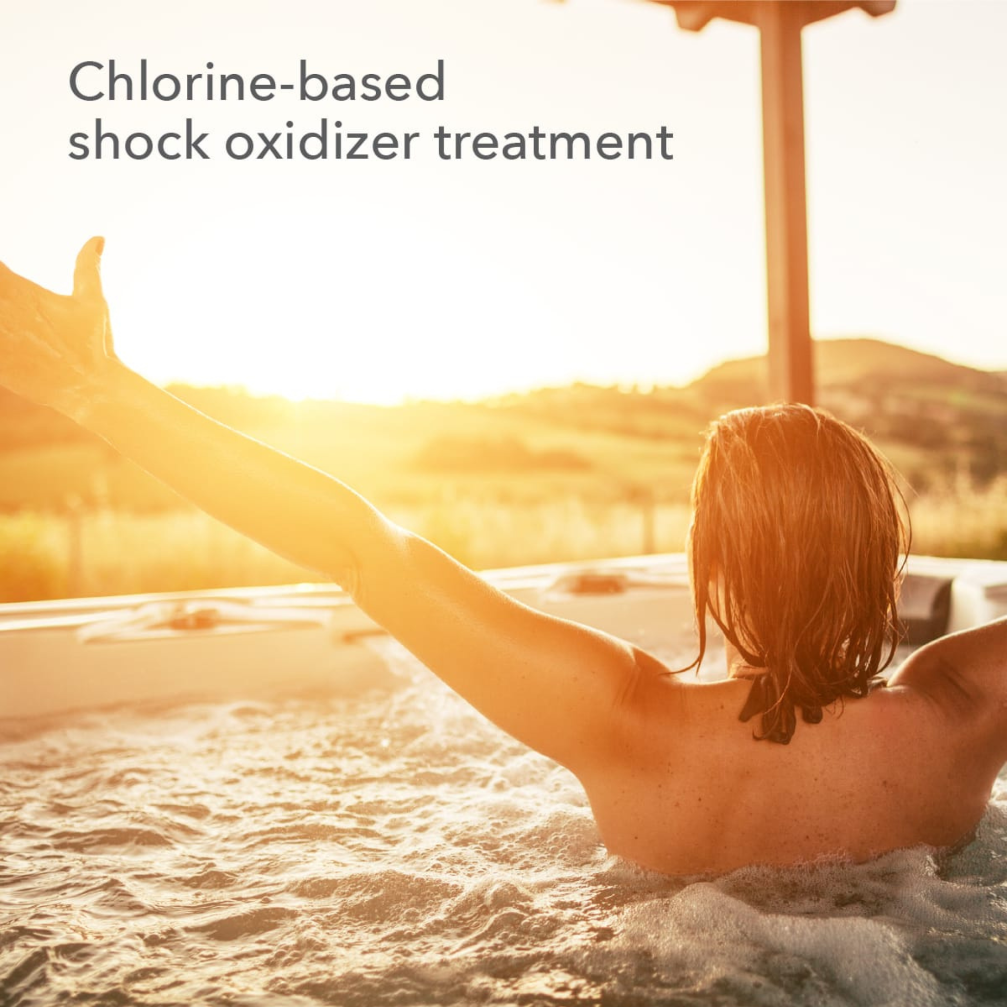 leisure time replenish 2 lbs. sodium dichlor for spas