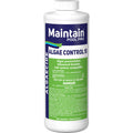 10% algaecide for swimming pools