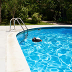 Penguin Chlorine Tablet Floating Dispenser