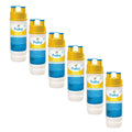 POOL FROG Chlorine Bac Pac 6-Pack