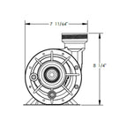Waterway Plastics Hi-Flo II 2 HP 2-Speed Above Ground Pool Pump