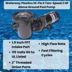 Waterway Plastics Hi-Flo II 2 HP 2-Speed Above Ground Pool Pump