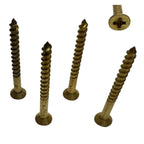 Safety Pool Cover Brass Anchors for Wood Decks