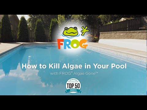 FROG Algae Gone Pool Pods - Algae Treatment