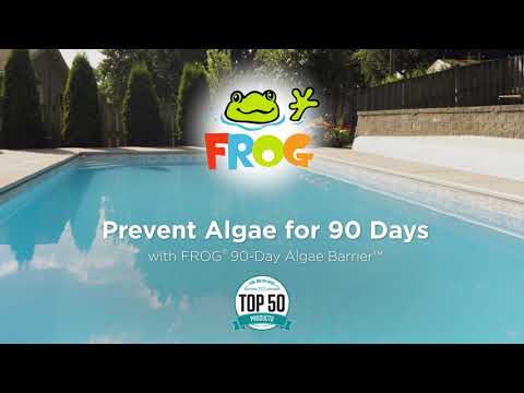 King Technology FROG 90-Day Algae Barrier 01-10-6800